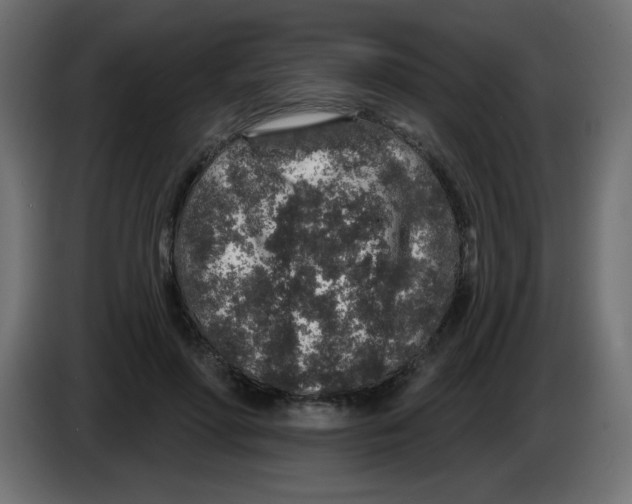 X0000083020598200703022006