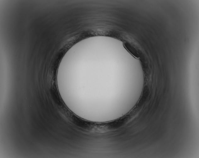 X0000083020599200703022006