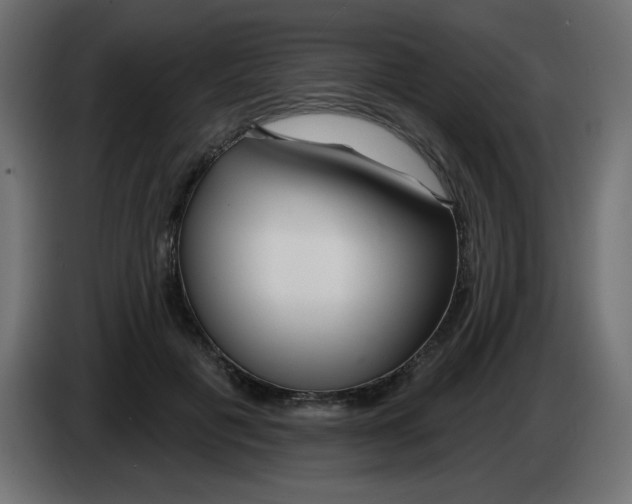 X0000083020601200703022005