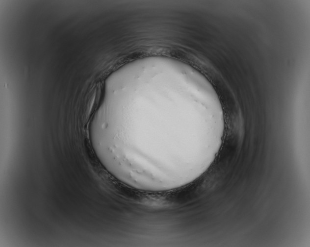 X0000083020602200703022005