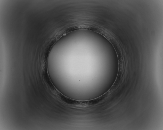 X0000083020604200703022005