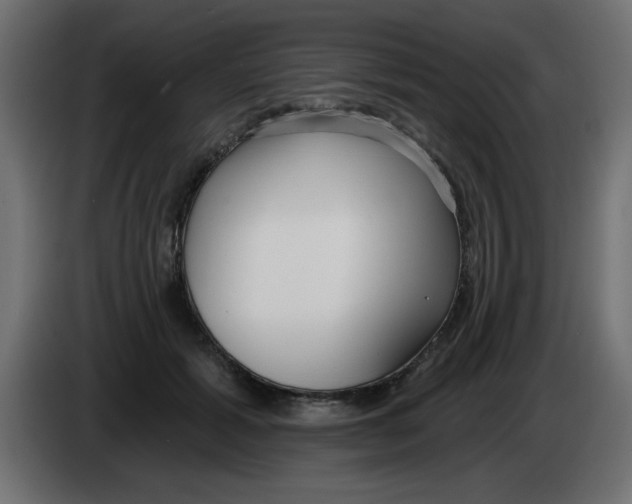 X0000083020605200703022005