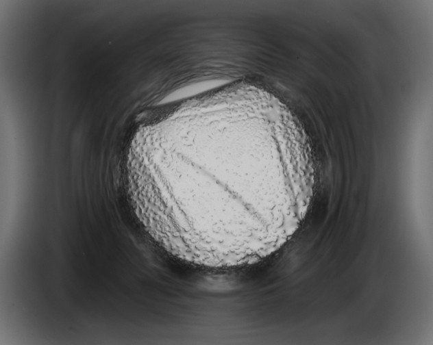 X0000083020606200703022005