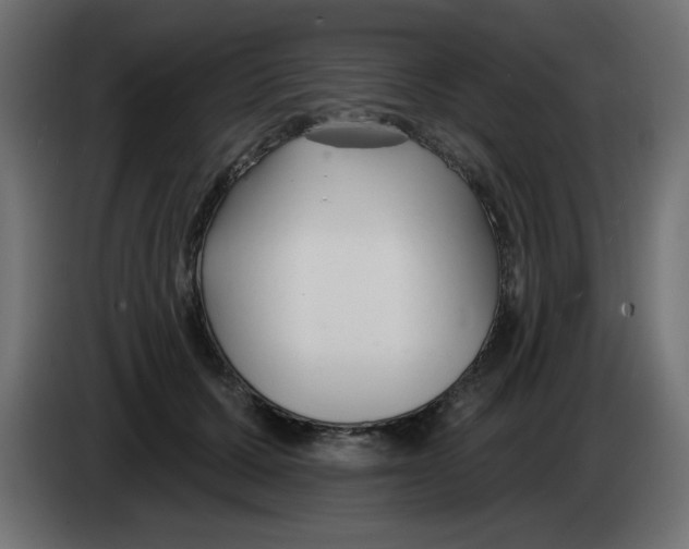 X0000083020607200703022005