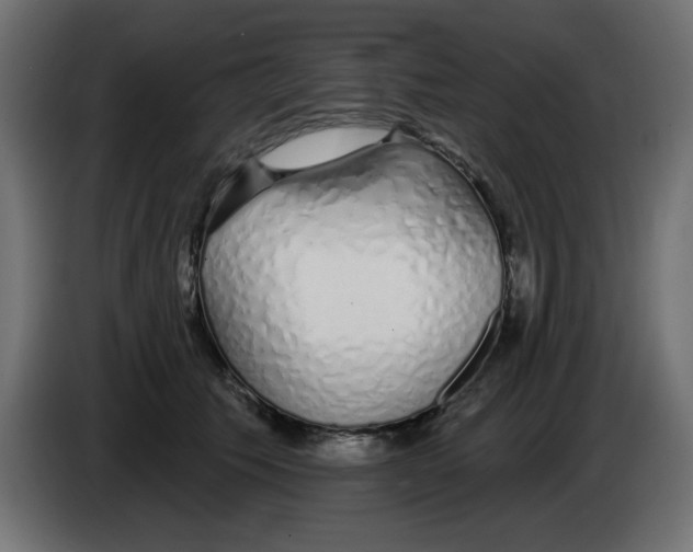 X0000083020609200703022005