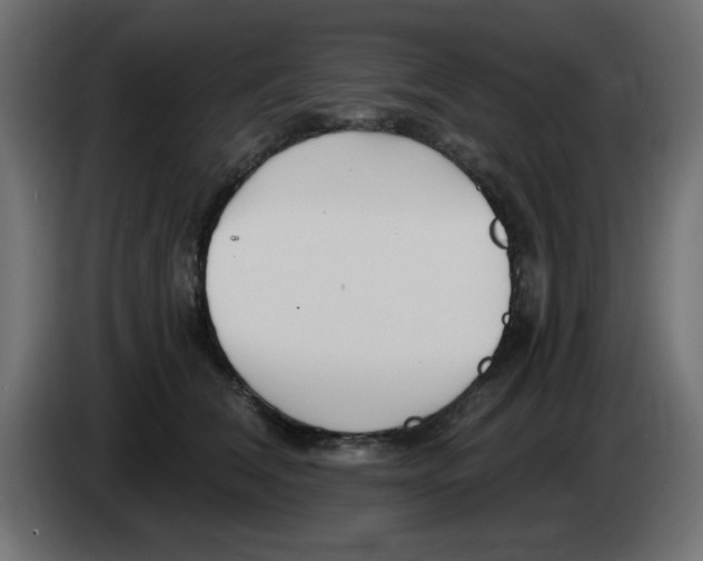 X0000083020612200703022005