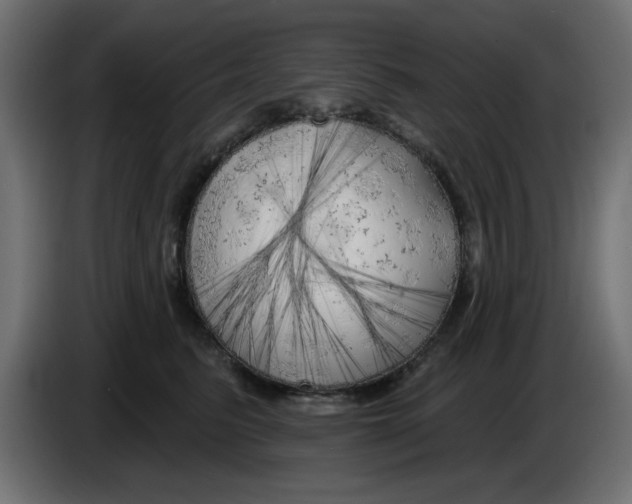X0000083020615200703022005
