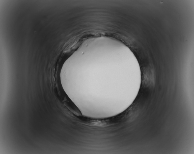 X0000083020616200703022005