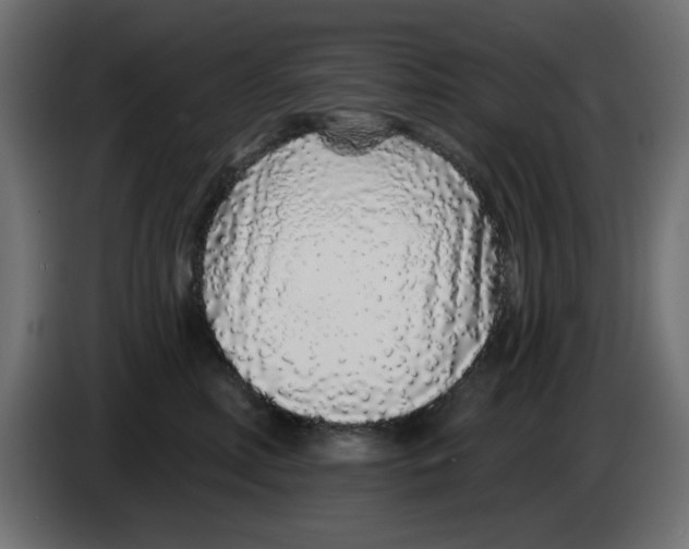 X0000083020618200703022005