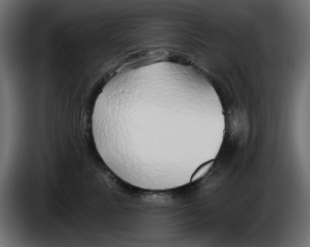 X0000083020619200703022005