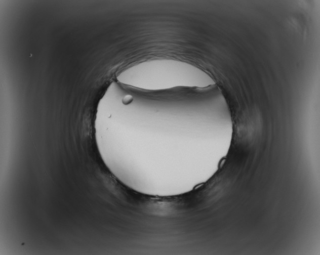 X0000083020620200703022005