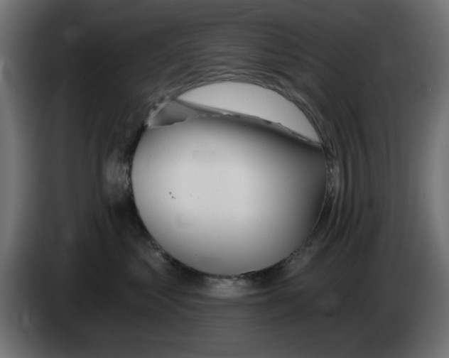 X0000083020621200703022005