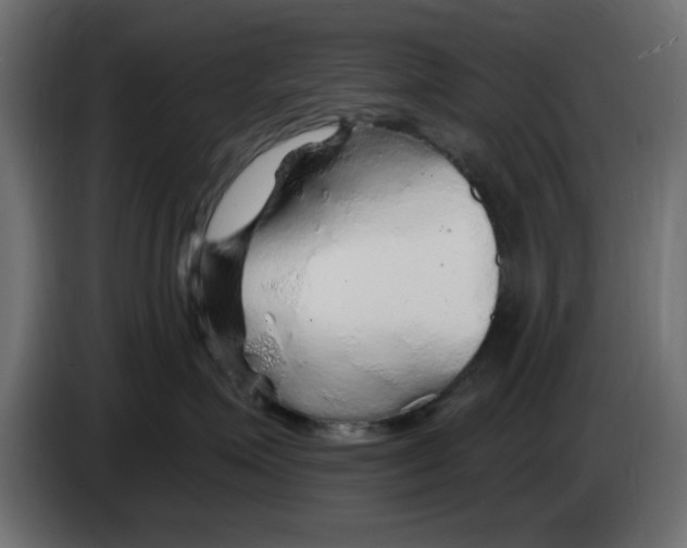 X0000083020623200703022005