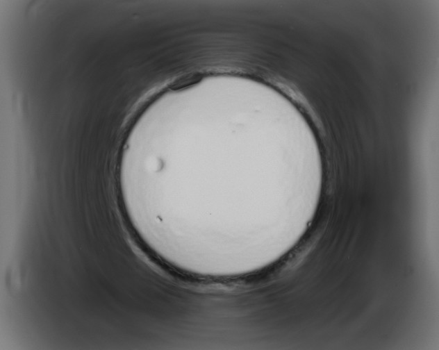 X0000083020625200703022004