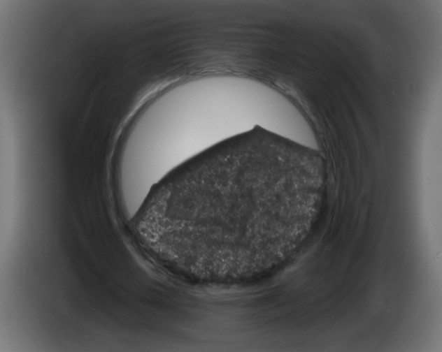 X0000083020626200703022004