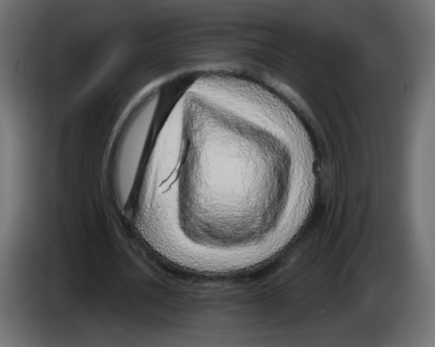 X0000083020628200703022005