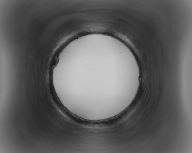 X0000083020629200703022005