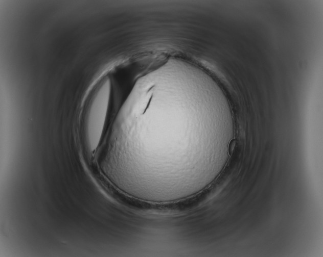 X0000083020630200703022005