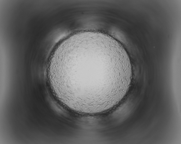 X0000083020632200703022005