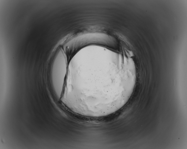 X0000083020634200703022005