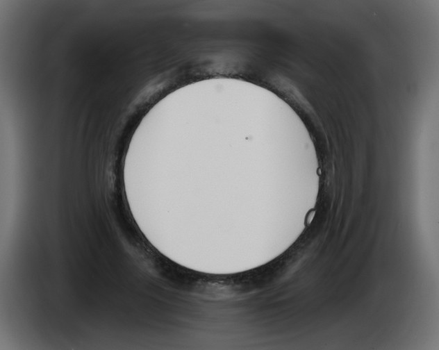 X0000083020635200703022005