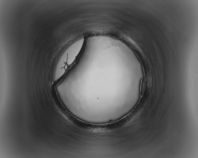 X0000083020637200703022005