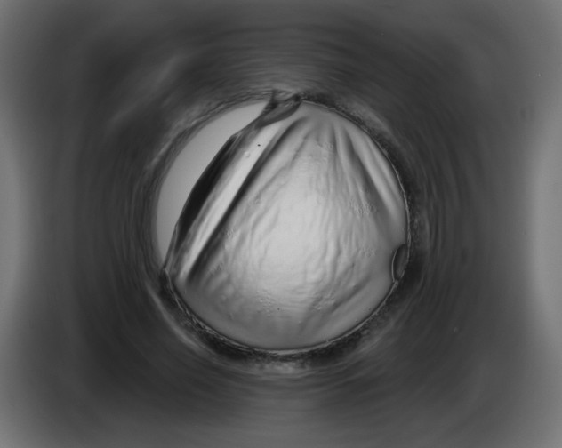 X0000083020638200703022005