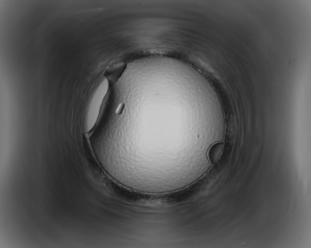 X0000083020639200703022005