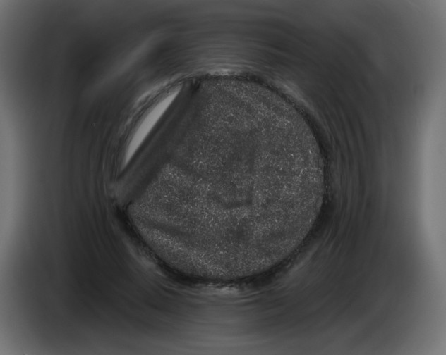 X0000083020640200703022005