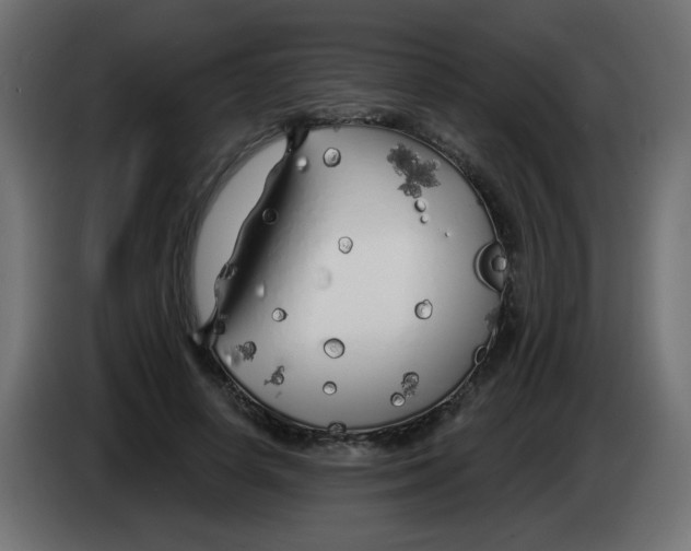 X0000083020642200703022005