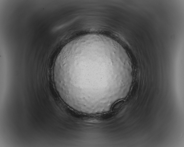 X0000083020643200703022005