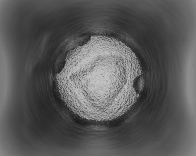 X0000083020644200703022005