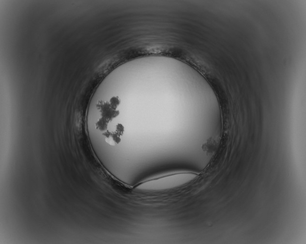 X0000083020646200703022005
