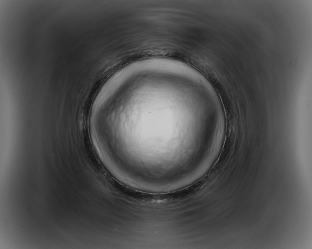 X0000083020647200703022005