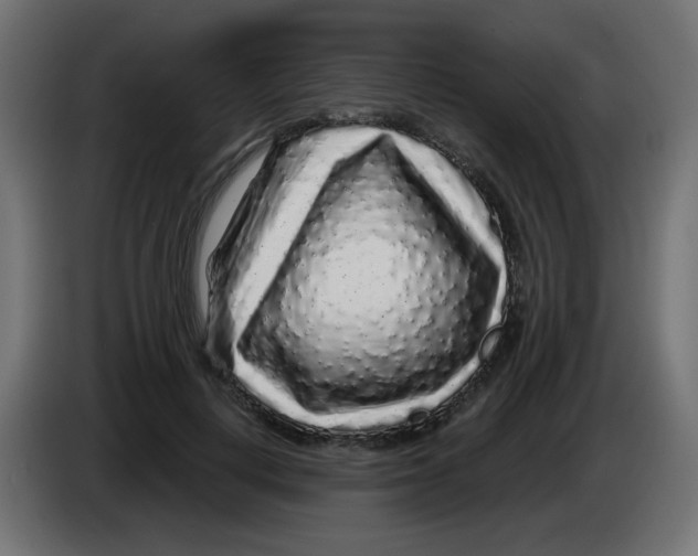 X0000083020648200703022005