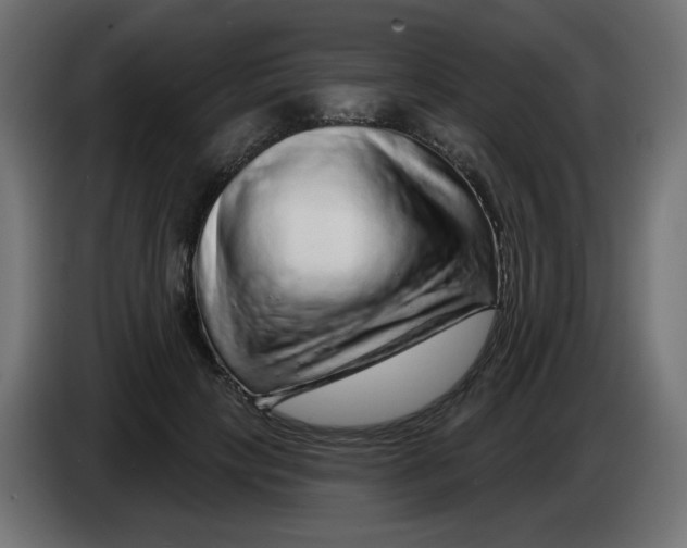 X0000083020649200703022005