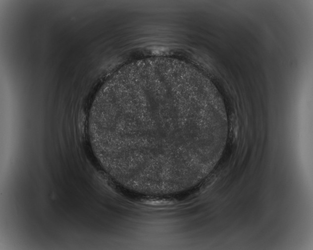 X0000083020650200703022005