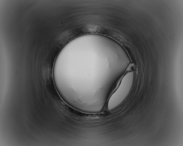 X0000083020651200703022005