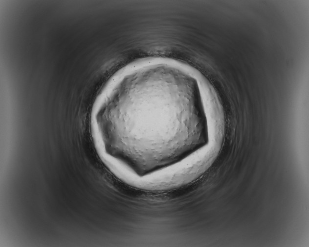 X0000083020652200703022005