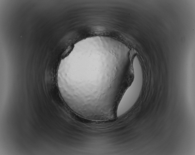 X0000083020653200703022005