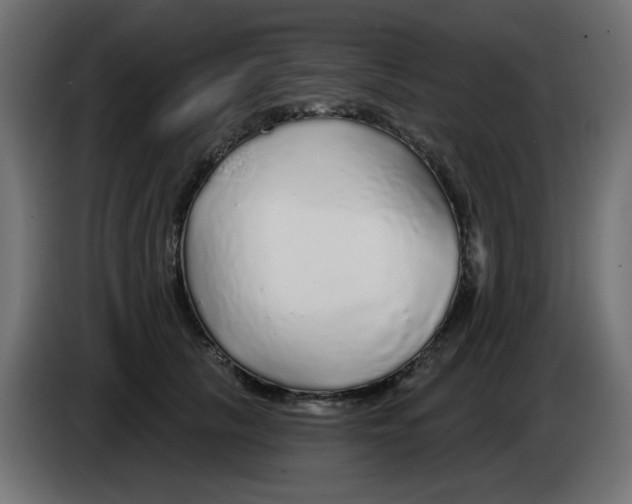 X0000083020657200703022005