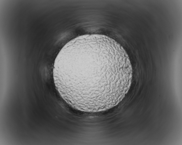 X0000083020658200703022005