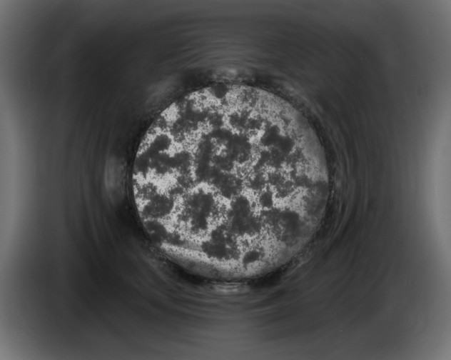 X0000083020659200703022005