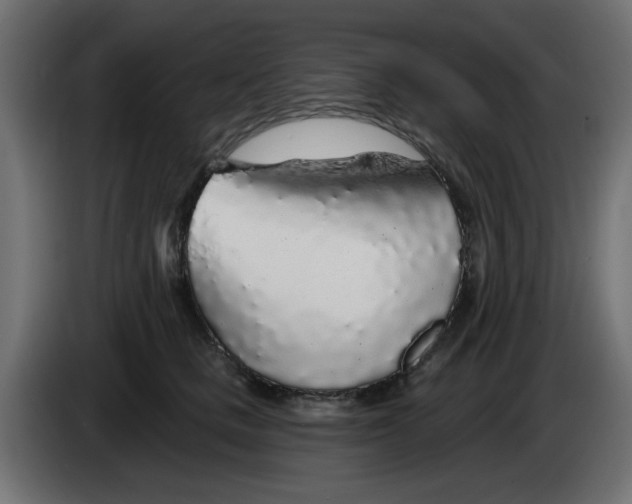 X0000083020661200703022005