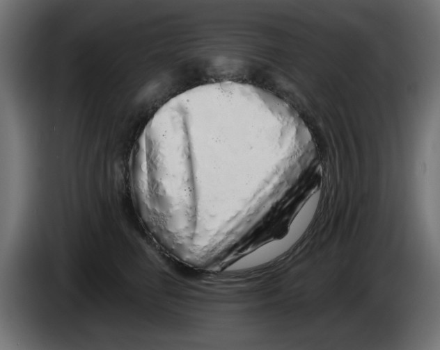 X0000083020662200703022005