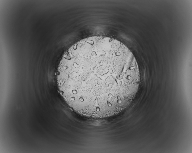 X0000083020663200703022005