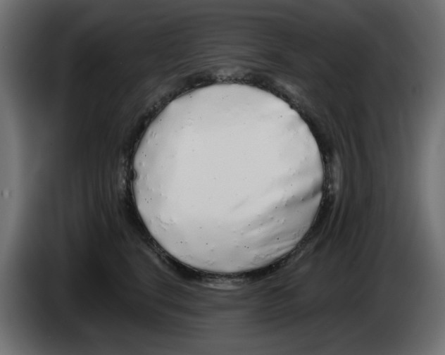 X0000083020664200703022005