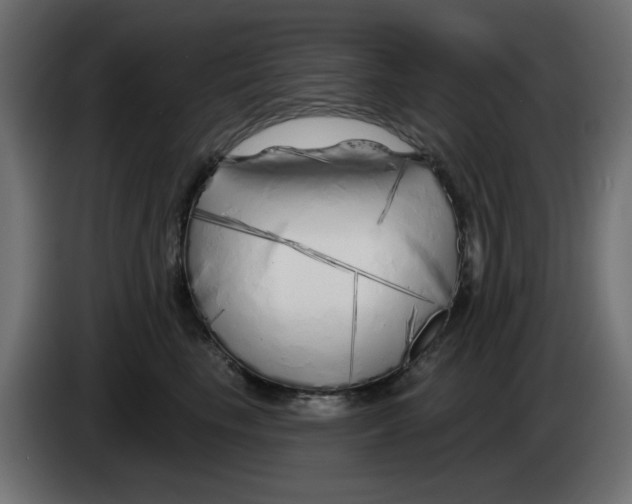 X0000083020665200703022005