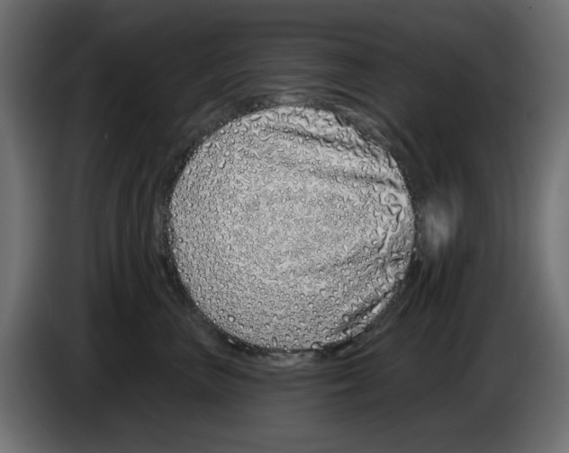 X0000083020667200703022005