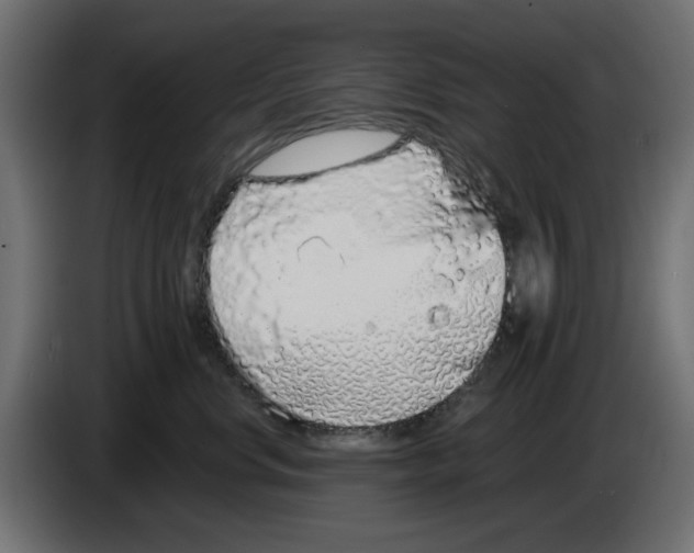 X0000083020668200703022005